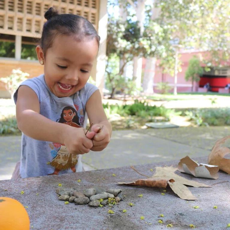 博彩平台推荐的一个小孩在玩树叶和石头
